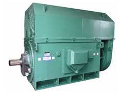 YKK8008-4Y系列6KV高压电机品质保证